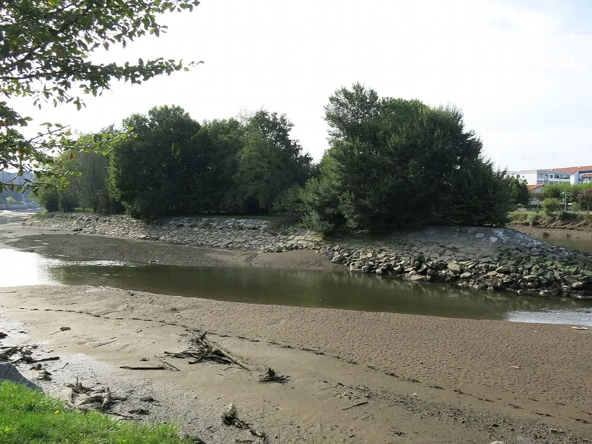Une île basse couverte d’arbres, bordée d’enrochements, au milieu d’une rivière à marée basse, des immeubles au loin sur la rive